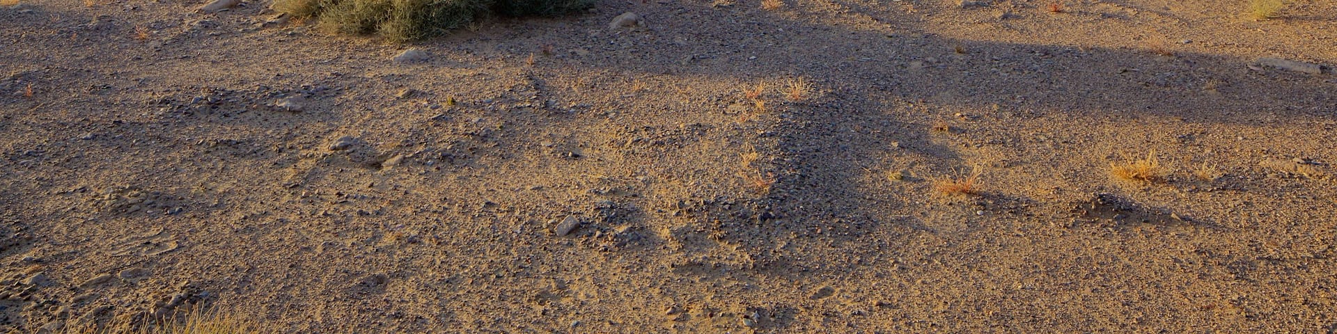 Elephant Butte showing tranquil scenes and a lake or waterhole