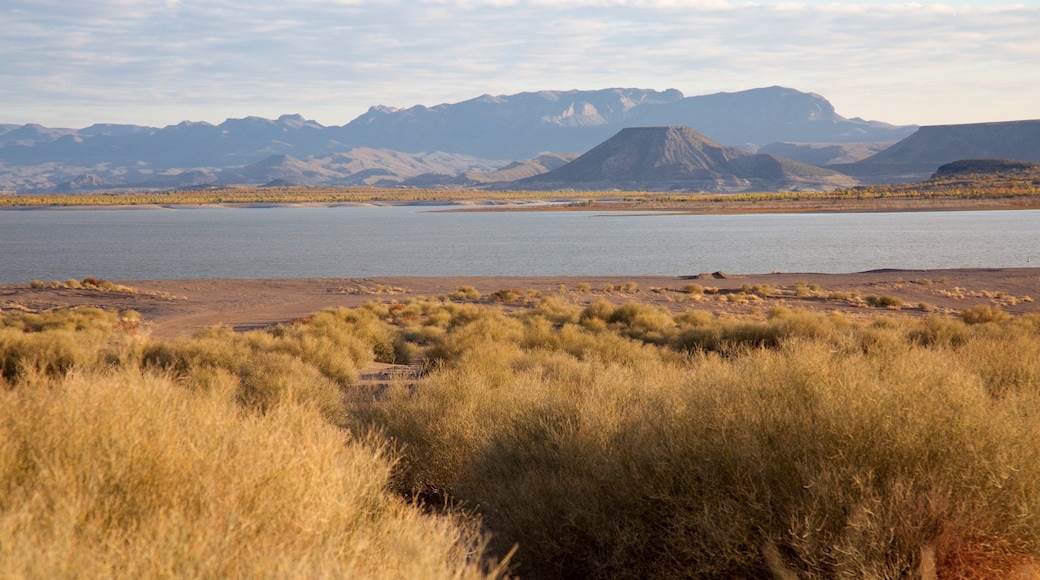 Elephant Butte que incluye un lago o laguna y situaciones tranquilas