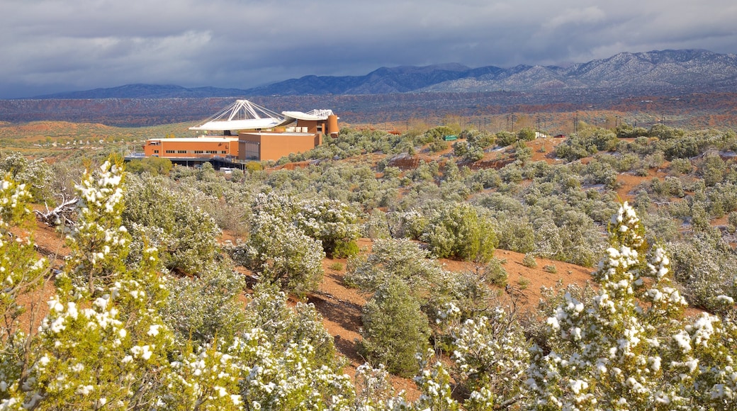 Santa Fe Trail which includes desert views and wildflowers