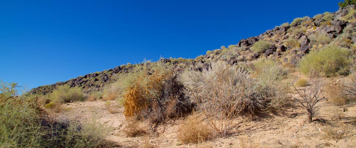 Petroglyph National Monument