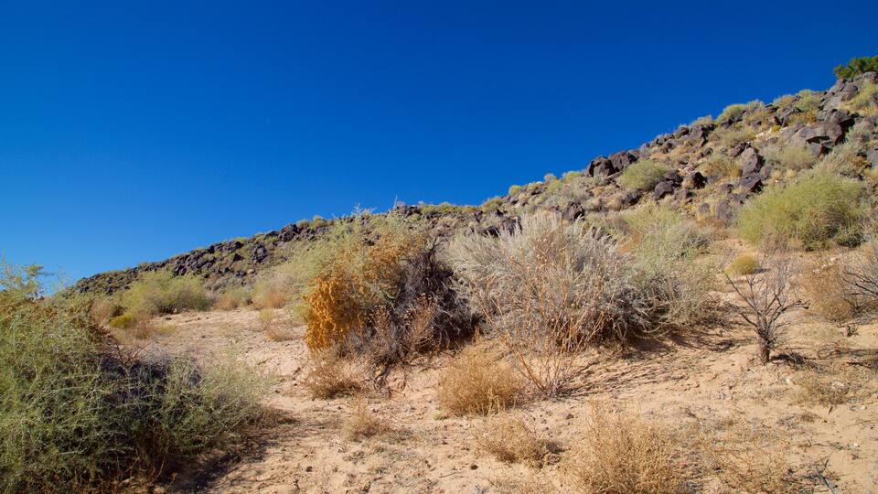 Petroglyph National Monument which includes tranquil scenes
