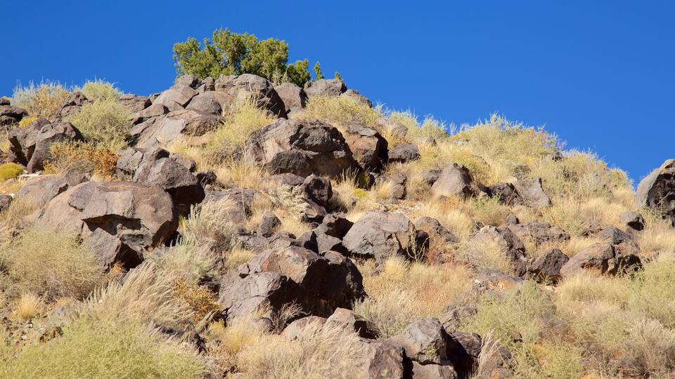 Petroglyph National Monument featuring tranquil scenes