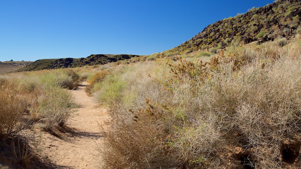 Petroglyph National Monument featuring tranquil scenes