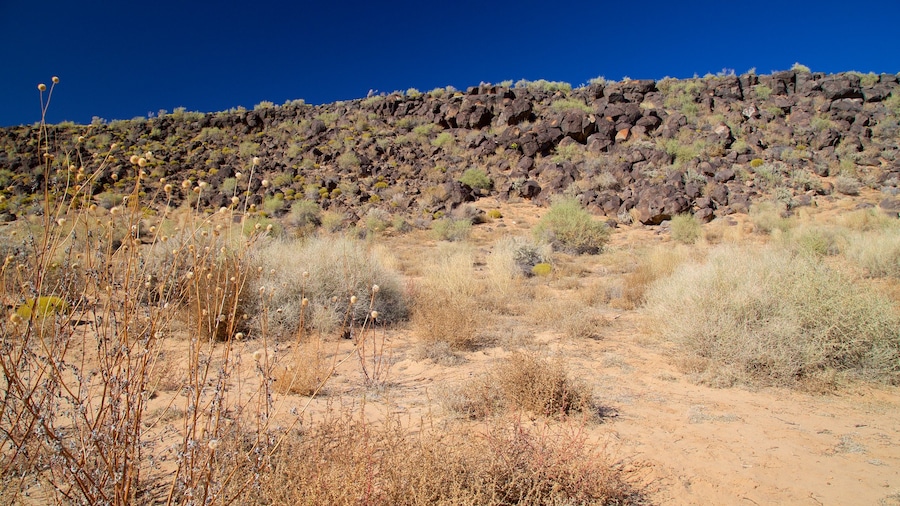 Petroglyph National Monument featuring tranquil scenes