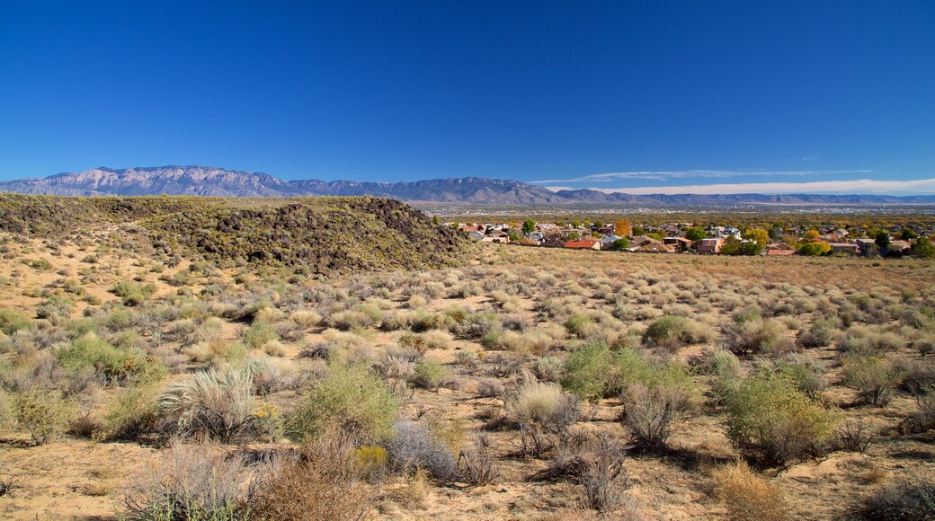 Petroglyph National Monument showing tranquil scenes