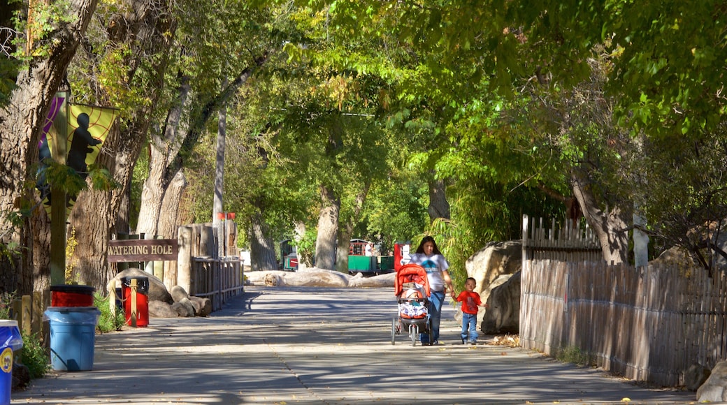 ABQ BioPark Zoo featuring street scenes and hiking or walking