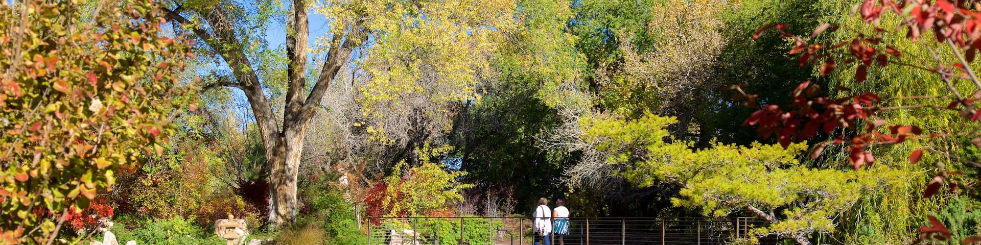 ABQ BioPark Botanic Garden which includes a pond and a park