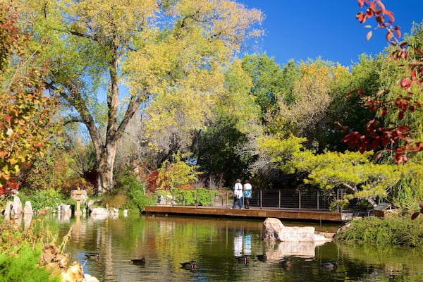 Rio Grande Botanical Garden mettant en vedette jardin et mare