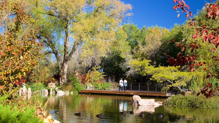 Rio Grande Botanical Garden mettant en vedette parc et mare