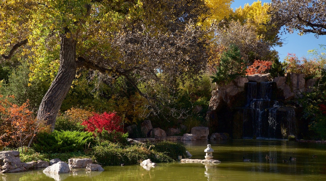 ABQ BioPark Botanic Garden which includes a garden and a pond