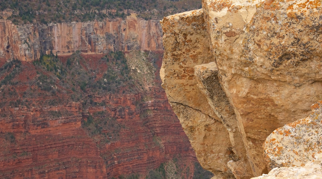 Início da Trilha do Anjo Brilhante caracterizando um desfiladeiro ou canyon