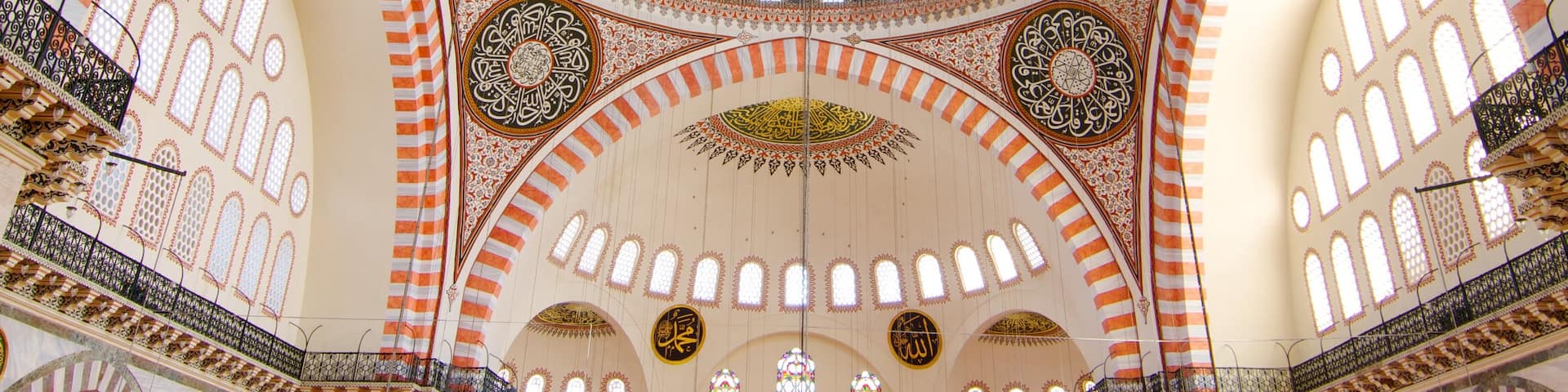 Suleymaniye Mosque showing a mosque and interior views
