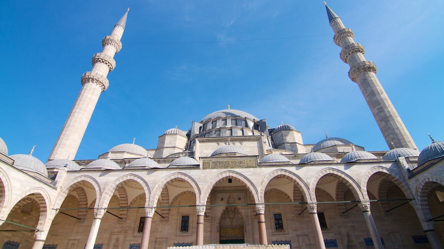 Suleymaniye Mosque which includes a mosque