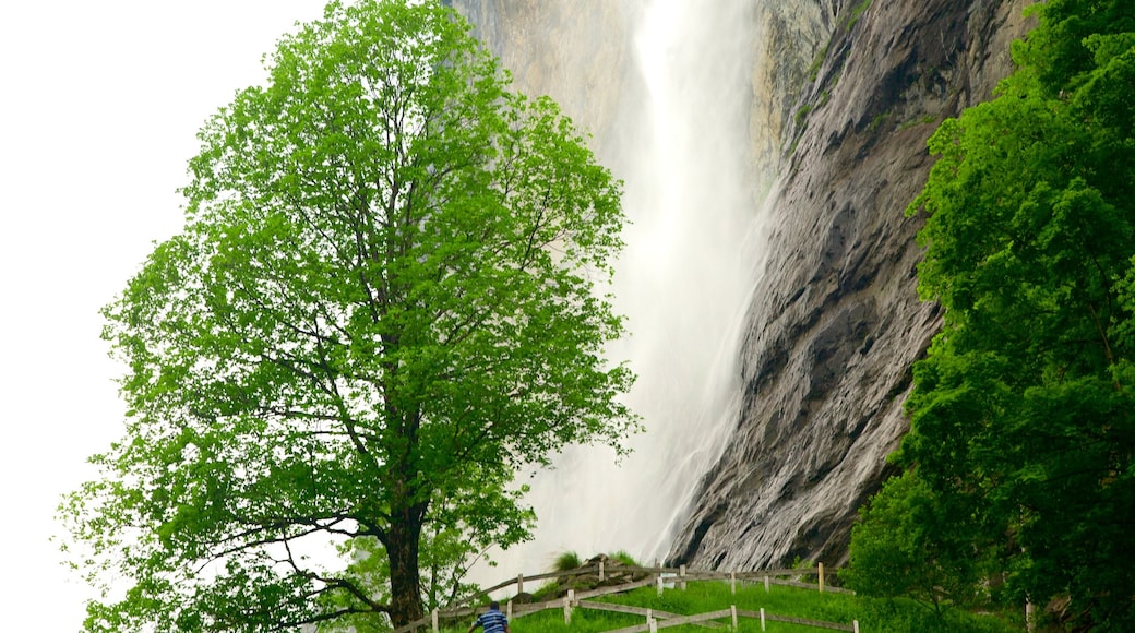 Lauterbrunnen ofreciendo tierras de cultivo y una cascada