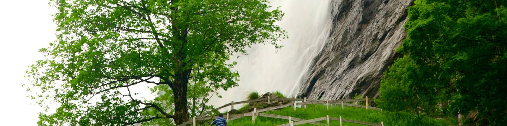 Lauterbrunnen ofreciendo tierras de cultivo y una cascada