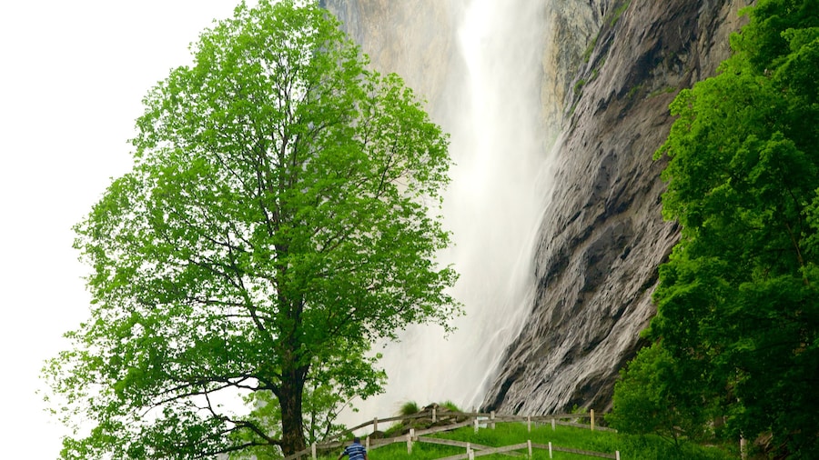 Lauterbrunnen which includes a waterfall and farmland