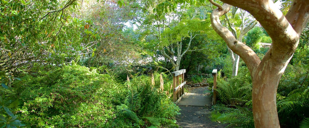 Connie Hansen Garden which includes rainforest and a park