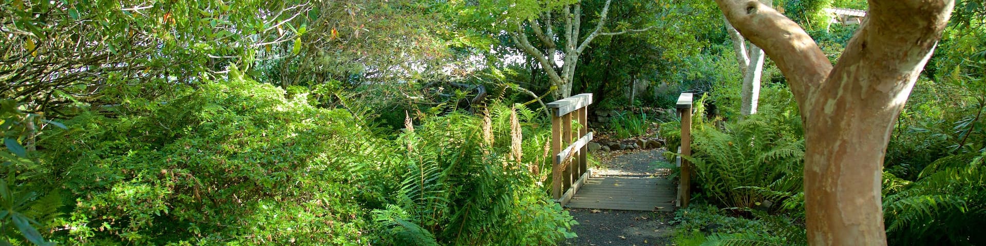 Connie Hansen Garden featuring rainforest and a garden