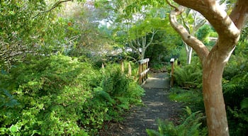 Connie Hansen Garden which includes rainforest and a park