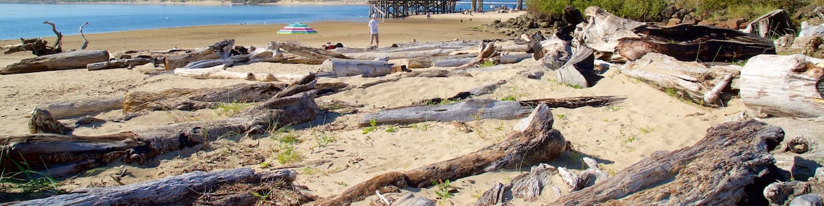 Oregon, mittlere Küste welches beinhaltet Strand