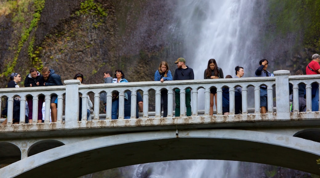 Cascadas de Multnomah que incluye un puente y también un gran grupo de personas