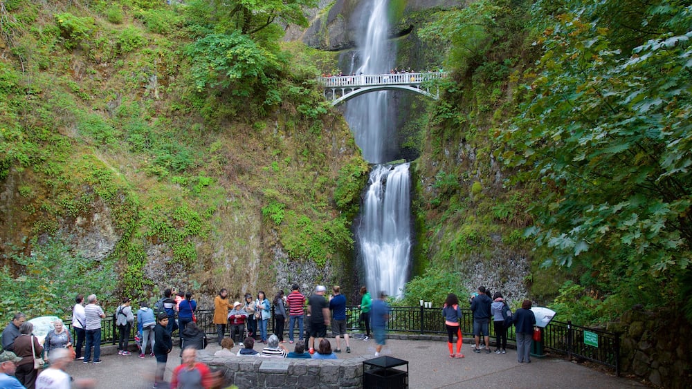 Multnomah Falls montrant chute d\'eau et vues aussi bien que important groupe de personnes