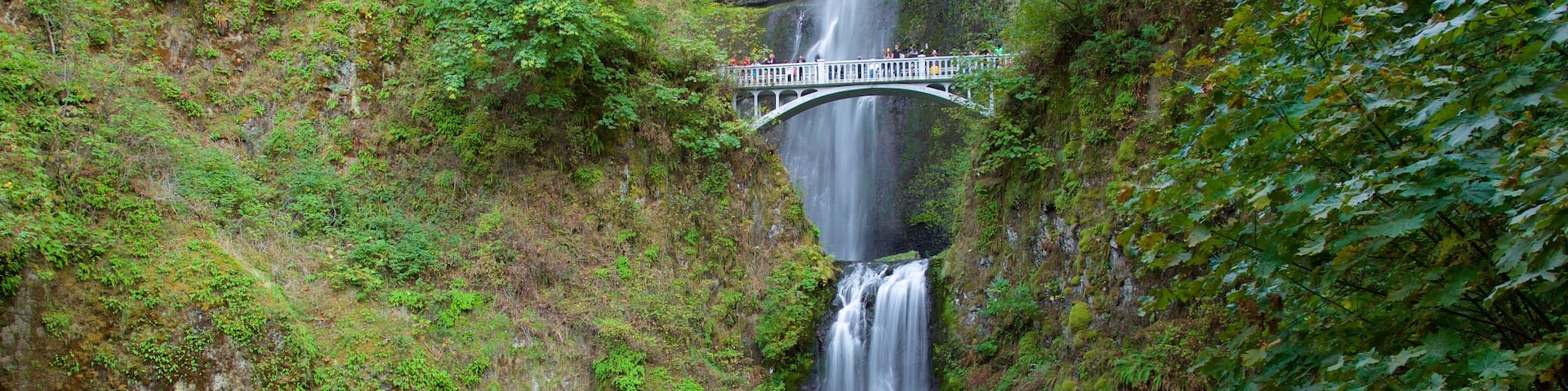 Multnomah Falls featuring a cascade and views as well as a large group of people