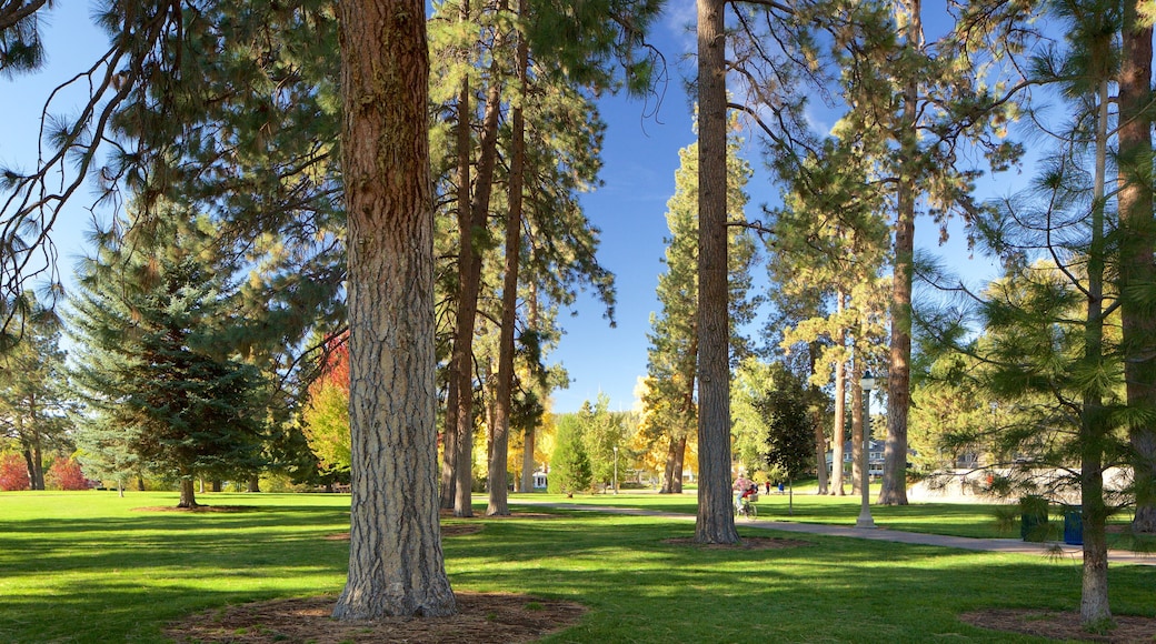 Drake Park showing a garden