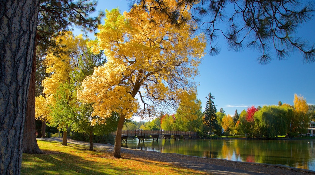 Drake Park ofreciendo colores de otoño y un parque