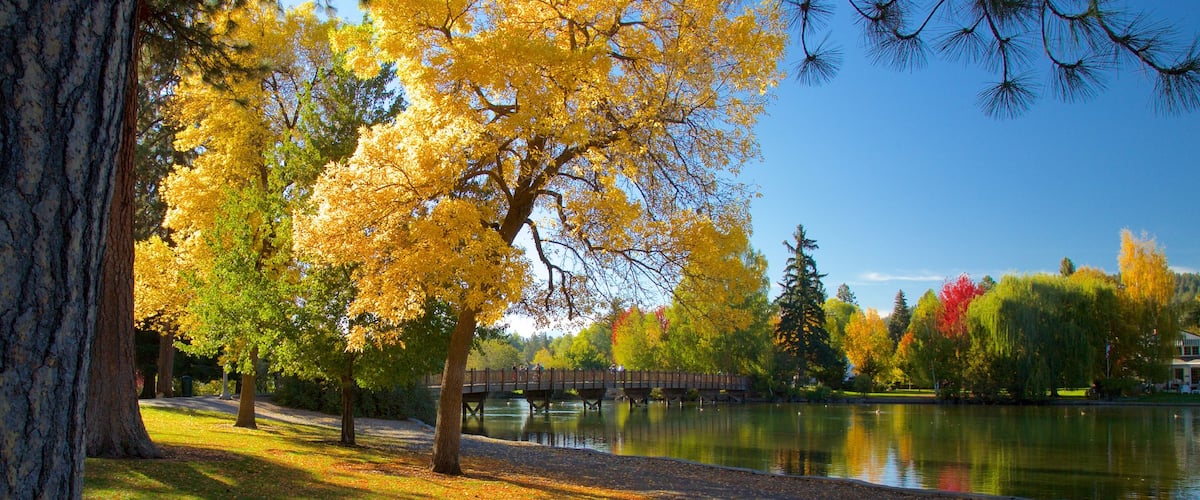 Drake Park featuring autumn colours and a garden
