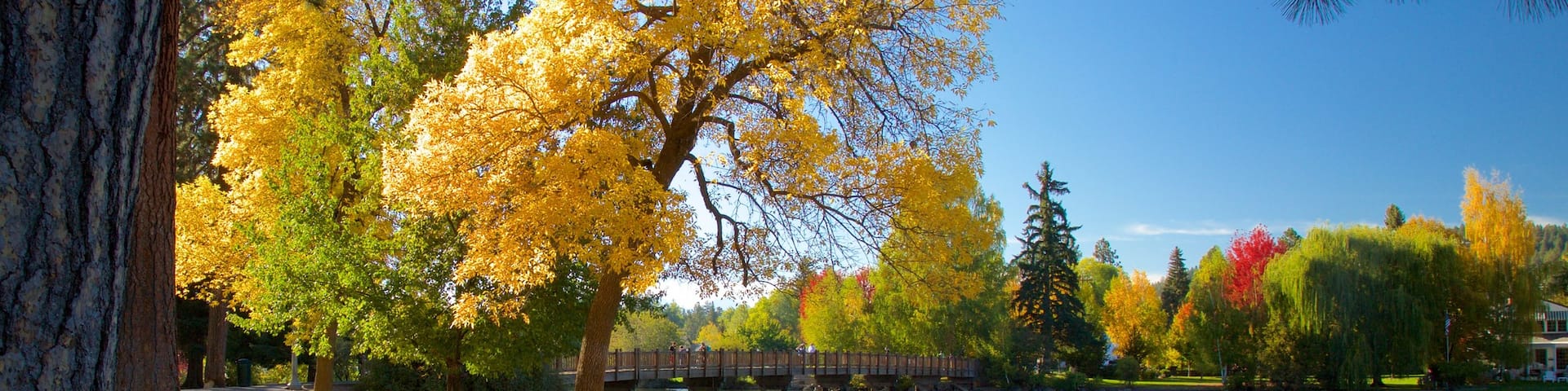Drake Park which includes autumn leaves and a garden