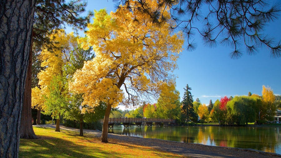 Drake Park which includes autumn leaves and a park
