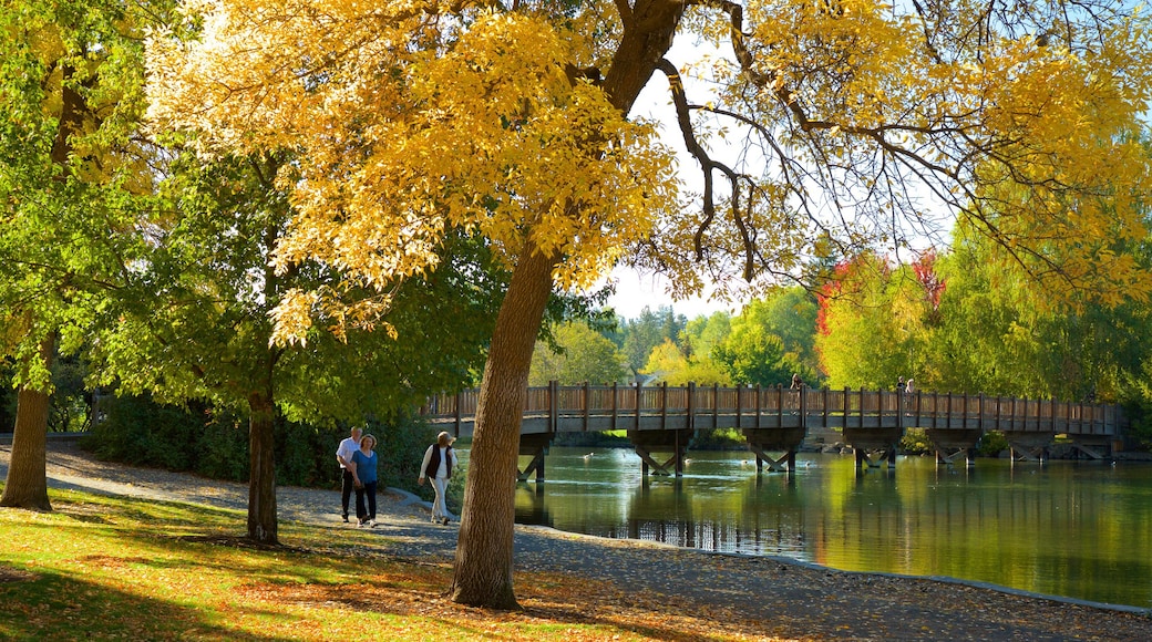 Drake Park que incluye un jardín, un río o arroyo y los colores del otoño