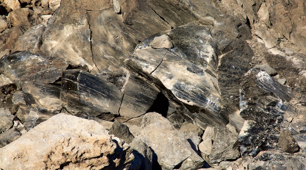 Newberry National Volcanic Monument som viser fredfyldte omgivelser