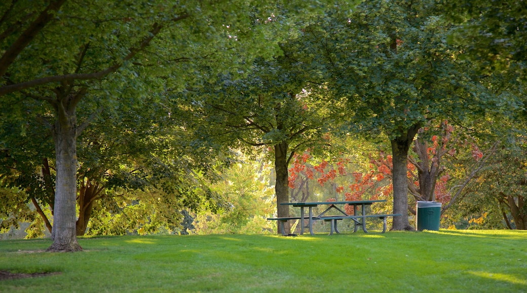 Medford og byder på en park