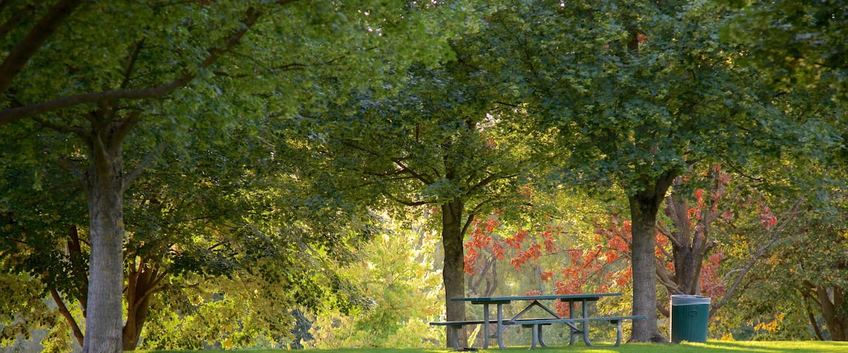 Medford ofreciendo un parque