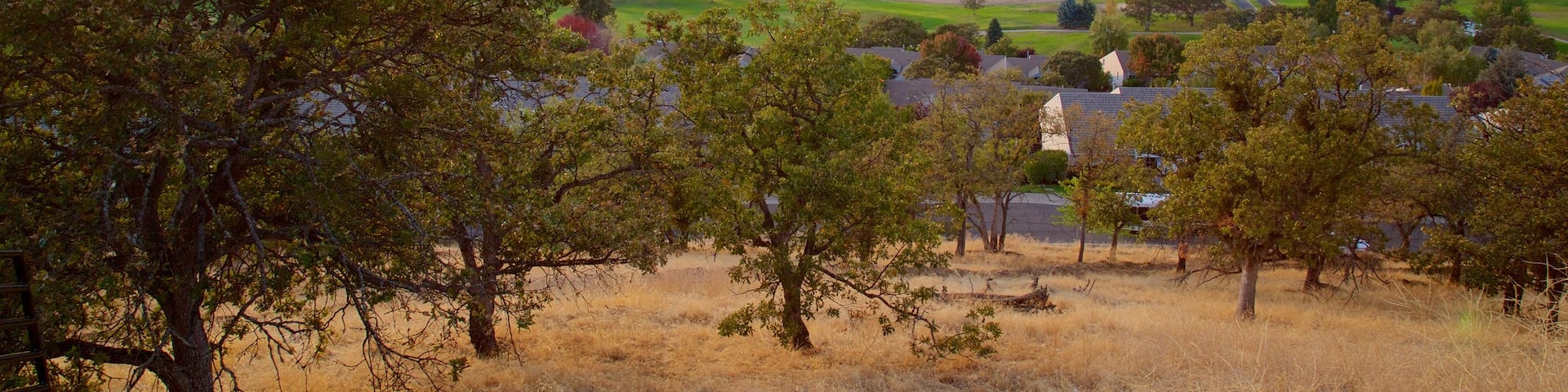 Süd-Oregon das einen Landschaften