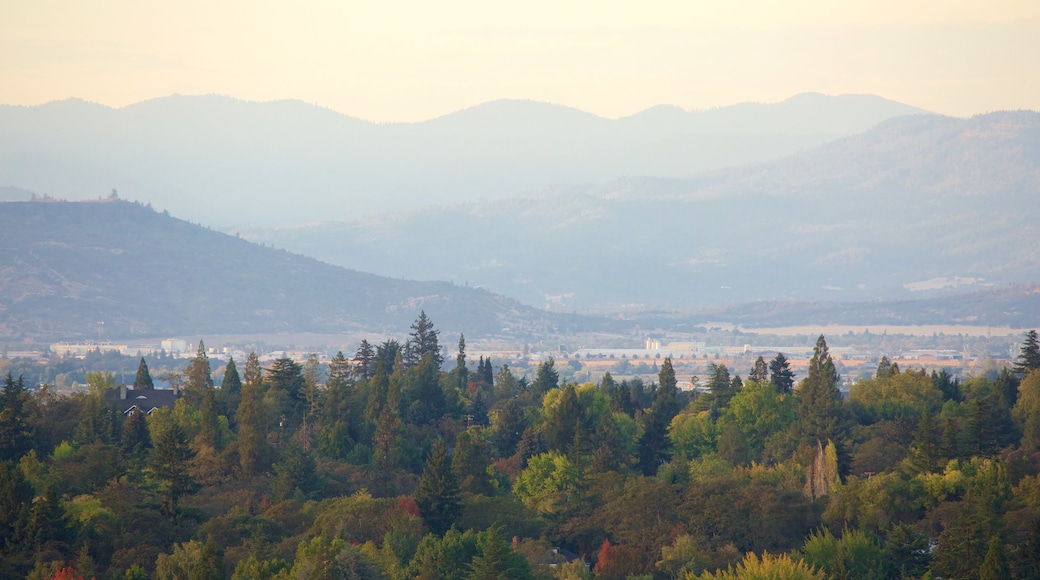 Medford showing forests