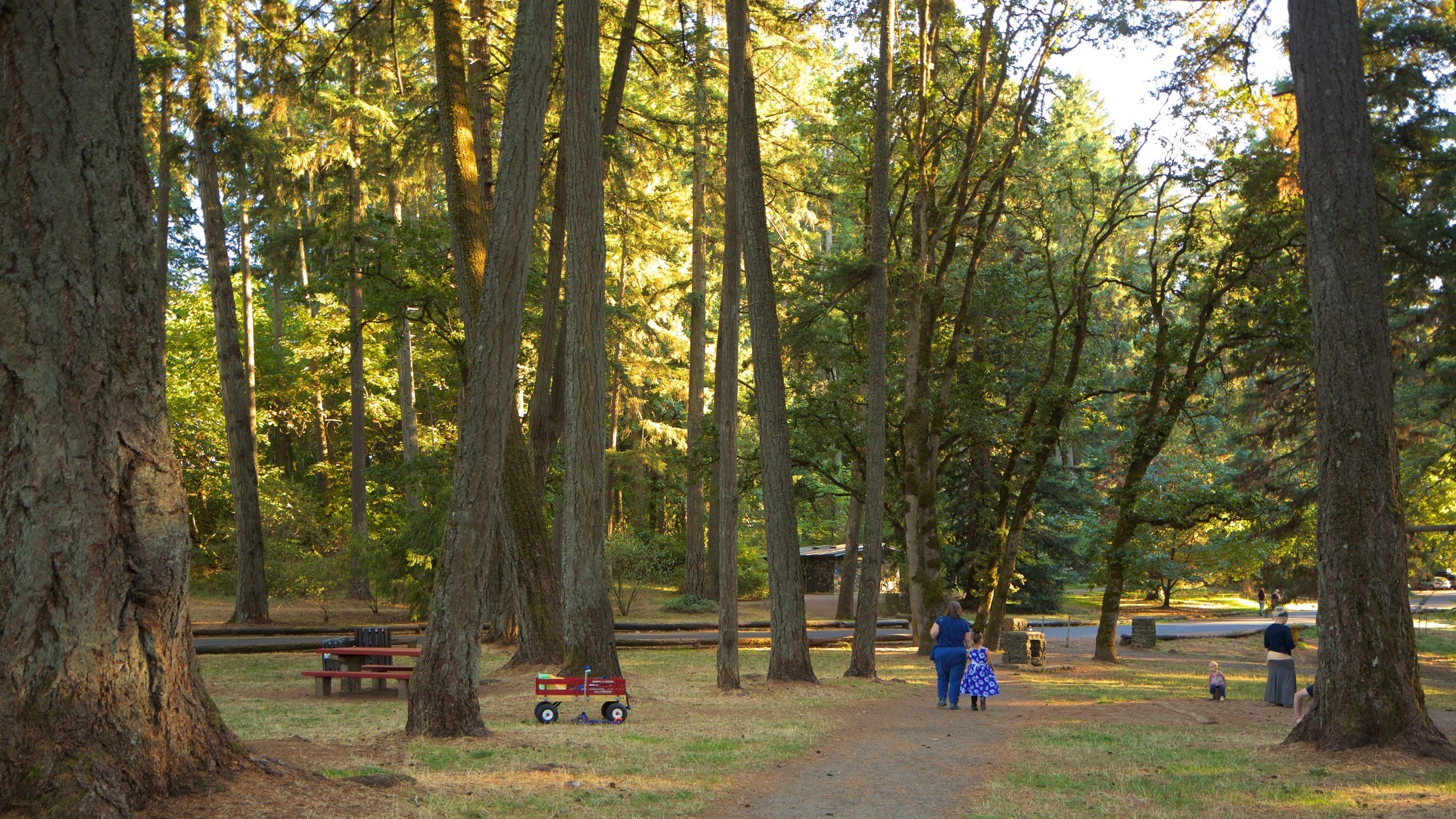 Eugene, OR Vacation Rentals house rentals & more Vrbo