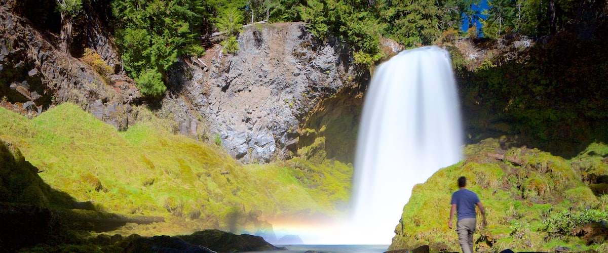 Oakridge toont een waterval en regenwoud