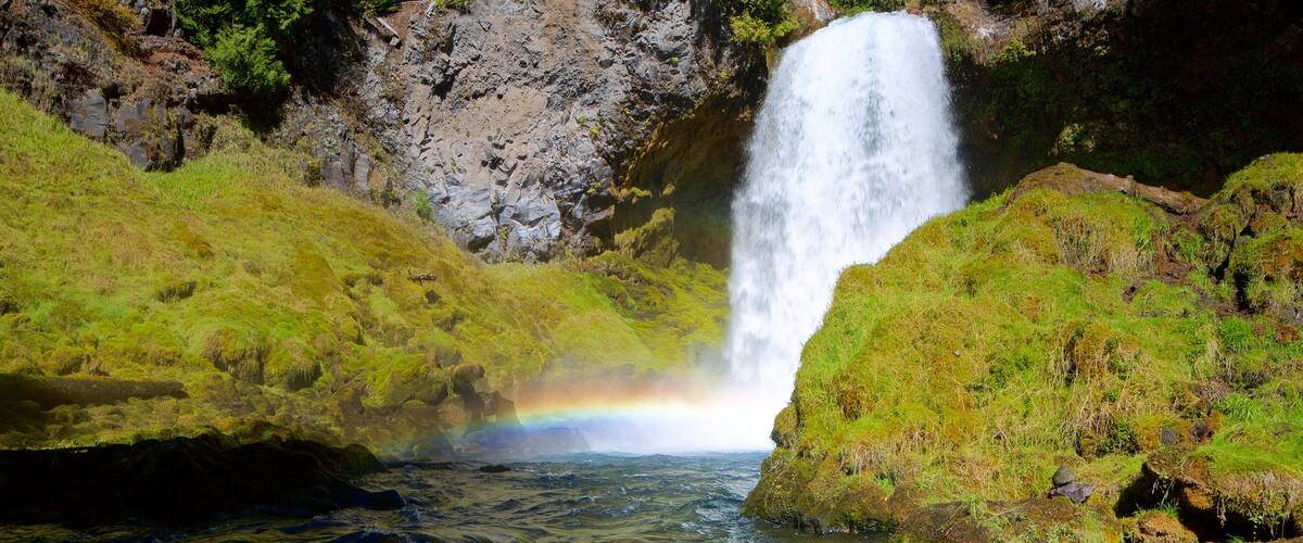 Willamette Valley ofreciendo una catarata y selva