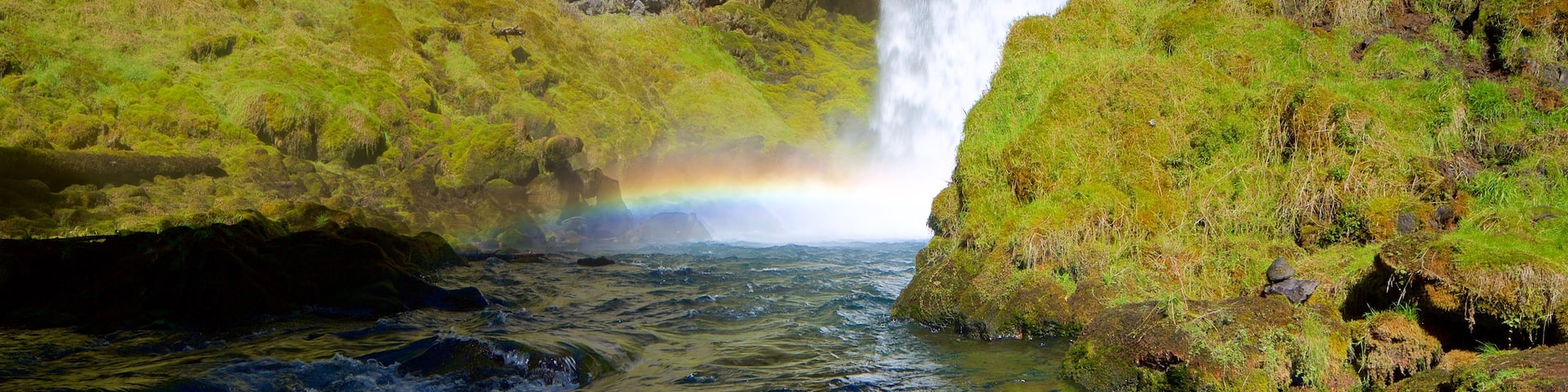 Willamette Valley which includes rainforest and a waterfall
