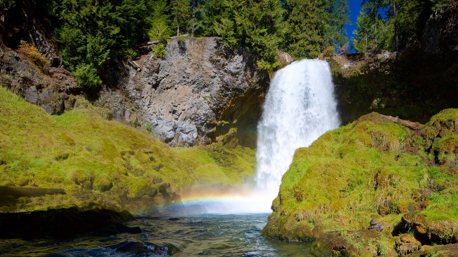 Willamette Valley ofreciendo una catarata y selva