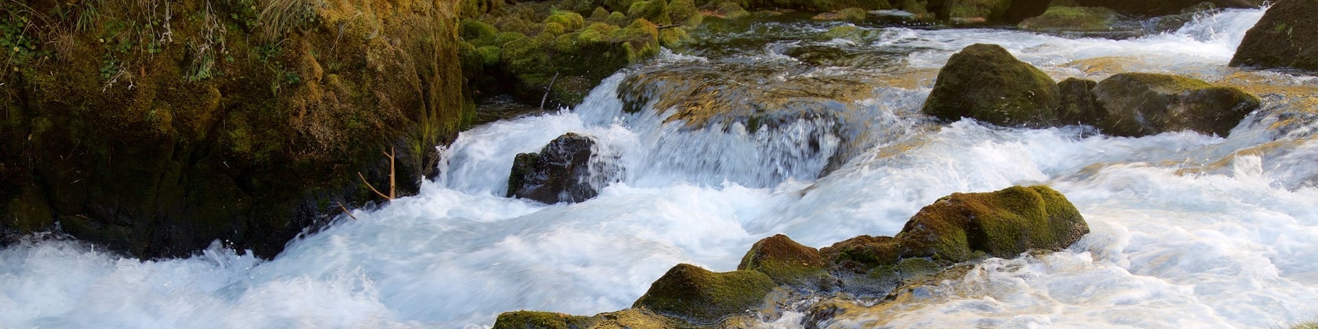 Oakridge showing rapids