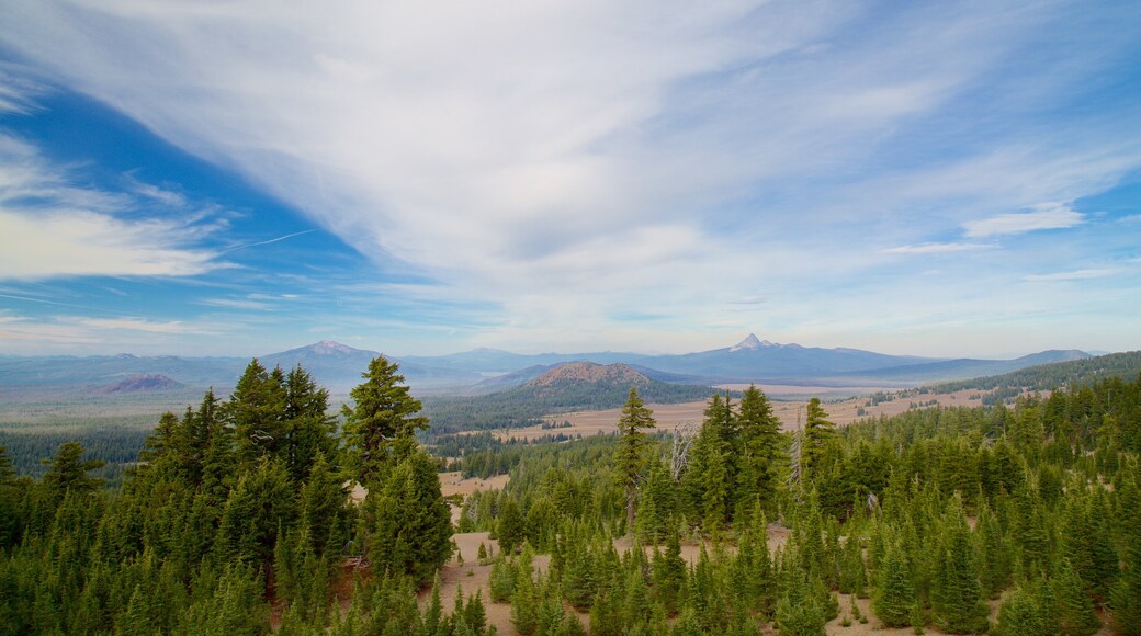 Roseburg showing landscape views and forests
