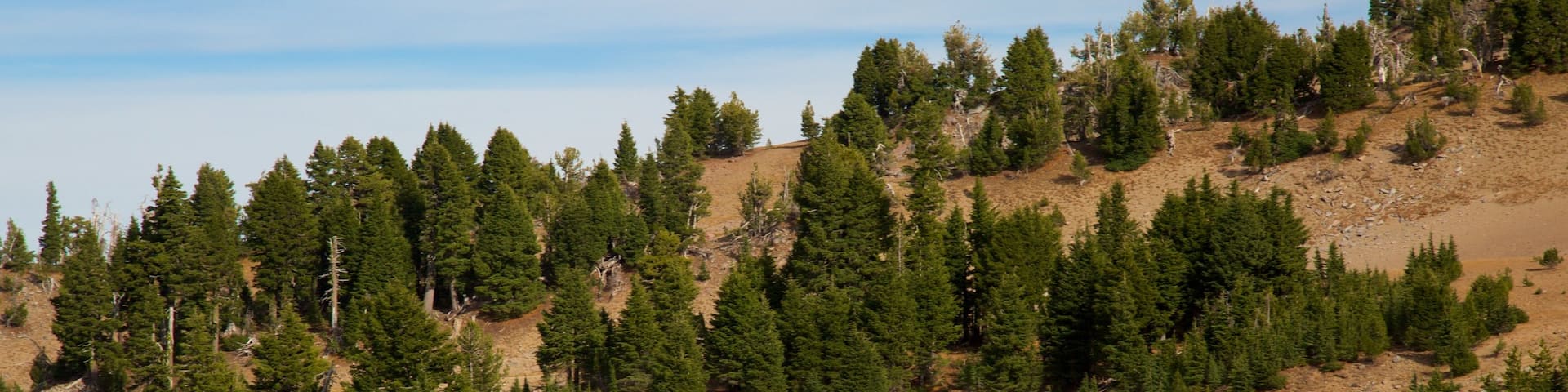 Crater Lake National Park showing tranquil scenes