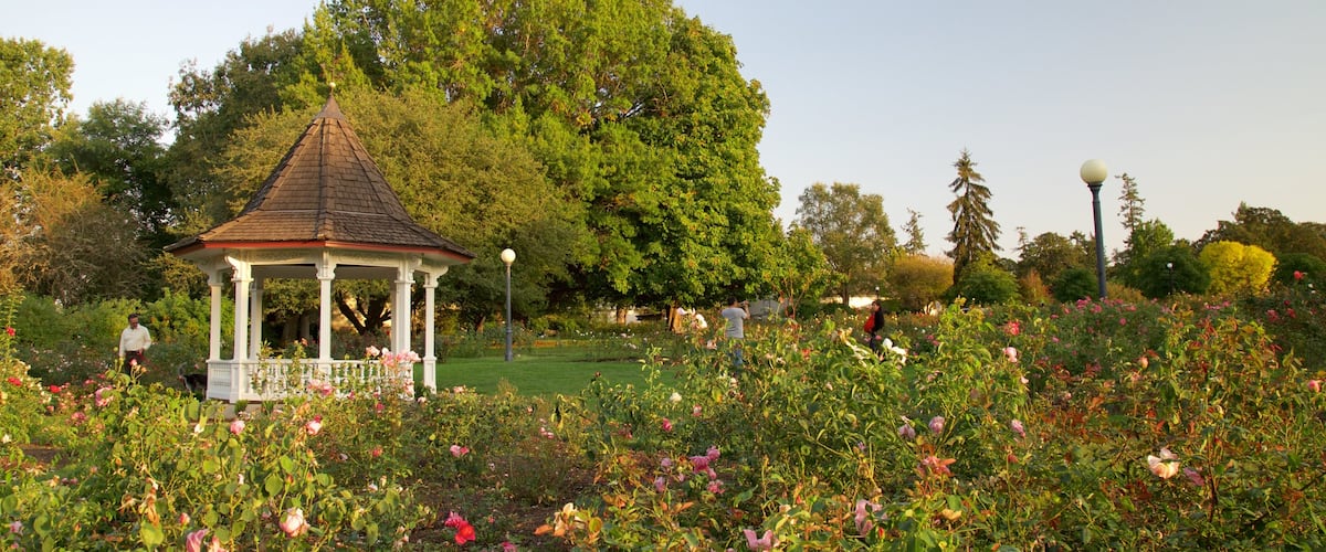Salem montrant parc
