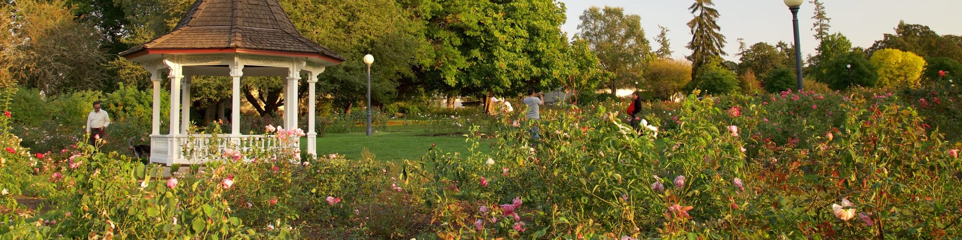 Salem welches beinhaltet Garten
