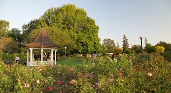 Salem toont een tuin