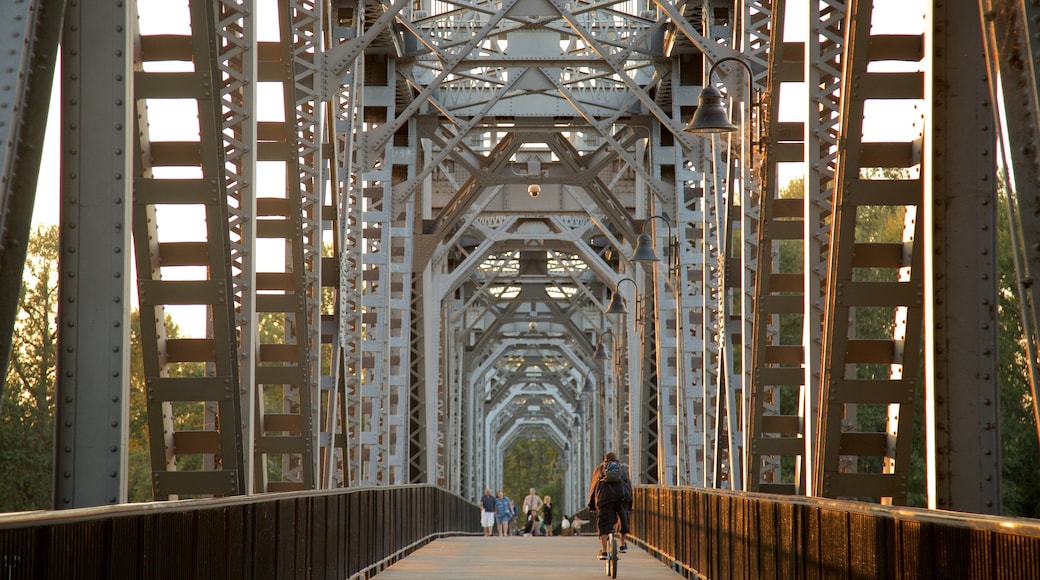 Salem featuring a bridge